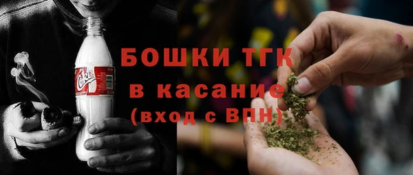 молекула духа Вязьма