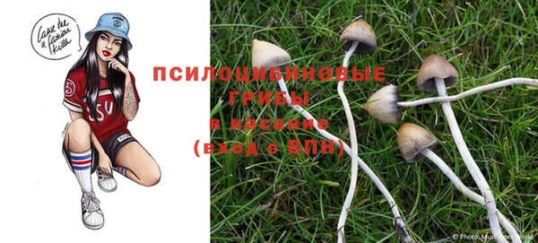 кристаллы Абинск
