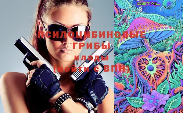 индика Вязники