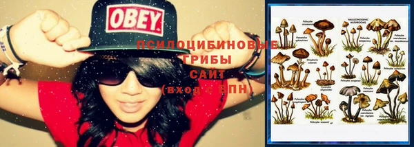 кристаллы Абинск