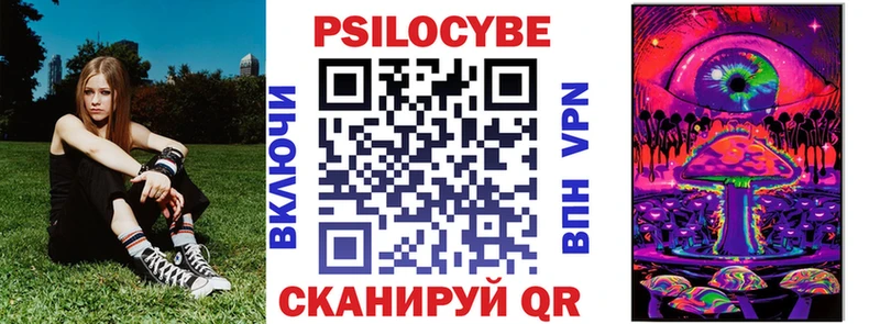 Галлюциногенные грибы Psilocybe  Елизаветинская 